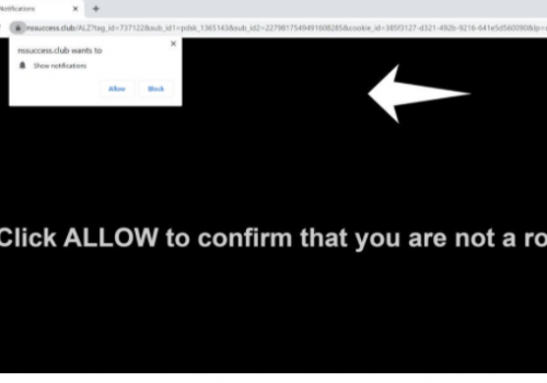 Nssuccess.club กำจัด