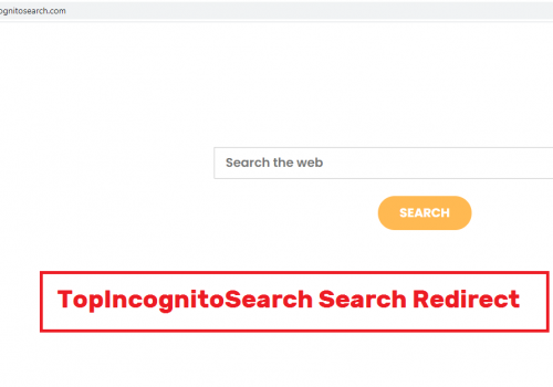 Rimuovere TopIncognitoSearch