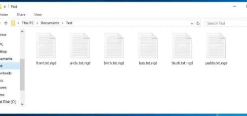 Odebrat a Rigd virus dešifrovat . Soubor Rigd ✔️ ✔️ ✔️