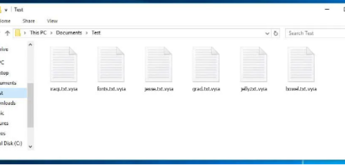Enlever Vyia Ransomware