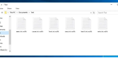 Entfernen Nuhb Ransomware – So entsperren Sie . Nuhb-Dateien