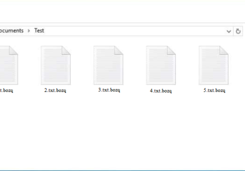 Πώς να διαγράψετε Bozq (.bozq) ransomware