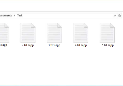 Διαγράφω Sapp ransomware